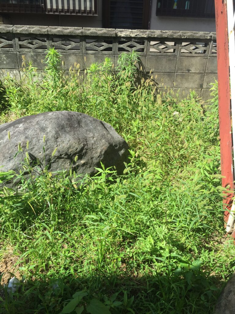 福岡県京都郡苅田町で草刈り前